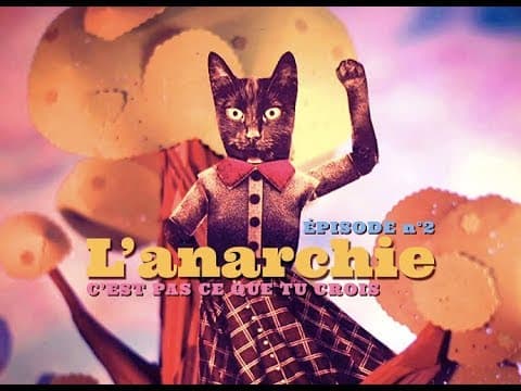 ANARCHY IS NOT WHAT YOU THINK (episode n°2)