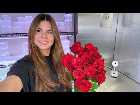 Intenté clonar rosas en mi laboratorio 🥀